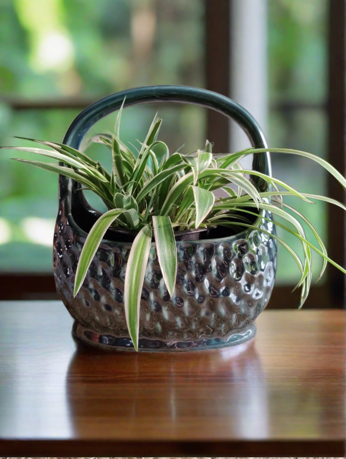 HandBag Planter